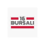 TSC 16 Bursalı Plaka Araba Sticker Yapıştırması Çok Renkli, EYh1Y13
