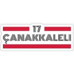 Tsc 17 Çanakkaleli Plaka Araba Sticker Yapıştırması 20 cm - Çok Renkli - 17CM