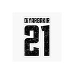 TSC 21 Diyarbakır Sticker Oto Etiket 17cm Renkli, EYMSS74