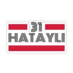 Tsc 31 Hataylı Plaka Araba Sticker Yapıştırması 20 cm - Çok Renkli - 17CM