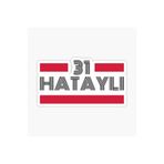 TSC 31 Hataylı Plaka Araba Sticker Yapıştırması Çok Renkli, EYh1Y21