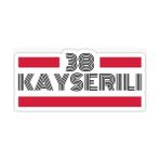 Tsc 38 Kayseri Plaka Araba Sticker Yapıştırması 20 cm - Çok Renkli - 17CM