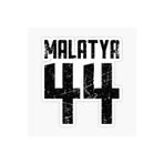 TSC 44 MALATYA Sticker Yapıştırma Oto Etiket 17cm Renkli, EYMSS94