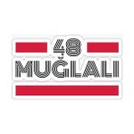 Tsc 48 Muğlalı Plaka Araba Sticker Yapıştırması 20 cm - Çok Renkli - 17CM