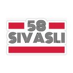 Tsc 58 Sivaslı Plaka Araba Sticker Yapıştırması 20 cm - Çok Renkli - 17CM