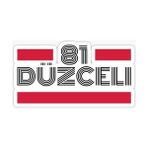 Tsc 81 Düzceli Plaka Araba Sticker Yapıştırması 20 cm - Çok Renkli - 17CM