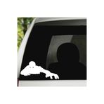 TSC Araba Hırsız Duvarı Tırmanan Sticker Beyaz Renk 16 Cm, STICKER2K1