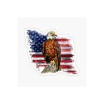 TSC Araba Kartal Sticker Amerikan Bayrağı 17cm Beyaz, etiket13zz-80