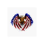 TSC Araba Kartal Sticker Yapıştırması Amerikan Bayrağı 17cm Beyaz, etiket13zz-92