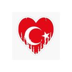 TSC Ay Yıldız Bayrak Ve Kalp Sticker Yapıştırma 14 Cm Çok Renkli 2 Adet, EY1Y24
