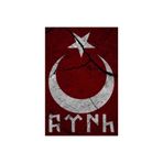 TSC Ay Yıldızlı Türk Bayrağı Ve Eski Türkçe Yazı Karakteri Sticker 18cm Renkli, tscledxz34