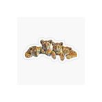 TSC Bebek Aslan Araba Oto Sticker Etiket Renkli Beyaz, Kedixx48