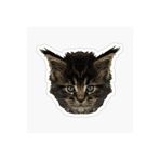 TSC Bebek Kedi Araba Oto Sticker Etiket Renkli Beyaz A1, Kedixx64