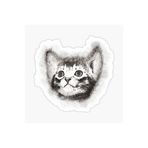 TSC Bebek Kedi Araba Oto Sticker Etiket Renkli Beyaz E1, Kedixx82