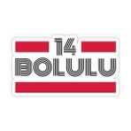 Tsc Bolulu Plaka Araba Sticker Yapıştırması 14 cm - Çok Renkli - 17CM