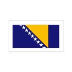 TSC Bosna Hersek Bayrağı Sticker 20CM