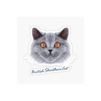 TSC British Shorthair Kedi Araba Oto Sticker Yapıştırma Etiket 17cm Beyaz, etiket13zz-138