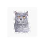TSC British Shorthair Kedi Araba Oto Sticker Yapıştırma Etiket 17cm Beyaz, etiket13zz-140