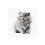 TSC British Shorthair Kedi Araba Oto Sticker Yapıştırma Etiket 17cm Beyaz, etiket13zz-145