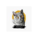 TSC Chartreux Kedi Araba Oto Sticker Etiket Renkli V1 Beyaz, Kedixx5
