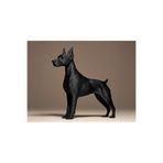 TSC Doğal Doberman Biblosu – Hediyelik Minimal Masa Üstü Dekoratif Ürün 13CM