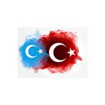 TSC Doğu Türkistan ve Türk Bayrağı Sticker Yapıştırma 19 CM Renkli, OTOETİKET-27