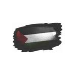 TSC Filistin Bayrağı Sticker 2 Adet 17CM Çok Renkli, 31agusx101