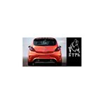TSC Göktürk Kurt Yazısı Sticker Yapıştırması Çok Renkli, Siyah1b120