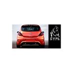 TSC Göktürkçe Türk Kurt Logo Sticker 30x20 cm Renkli, Kapikolu-z137