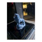 TSC Güçlü Aslan Figürü Dekoratif Biblo Obje Dekoratif Aslan Heykel 13 CM, PLADEkoratifx56