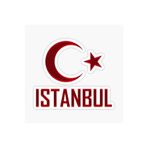 TSC Istanbul 2 Bayrak Sticker Oto Etiket Araba Yapıştırma 13cm Çok Renkli, STICKER2K64