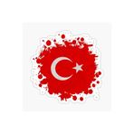 TSC Kan ve Türk Bayrağı Sticker Yapıştırma Oto Araba Etiket Çok Renkli, EYh1Y92