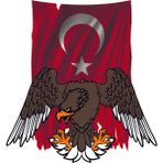TSC Kartal Türk Bayrağı Sticker Yapıştırma 18CM - Çok Renkli - 17CM
