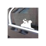 TSC Kedi Köpek Dostluğu Araba Cam Sticker Beyaz 15CM, 85OTOETİKET-69