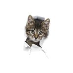 TSC Kırık Cam Efekti Kedi Araba Oto Sticker Etiket Beyaz, Kedixx32