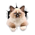 TSC Kırık Cam Efekti Kedi Araba Oto Sticker Etiket Beyaz, Kedixx34