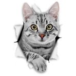 TSC Kırık Cam Efekti Kedi Araba Oto Sticker Etiket Beyaz Z1, Kedixx28