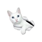TSC Kırık Cam Efekti Kedi Araba Oto Sticker Etiket Beyaz Z4, Kedixx31