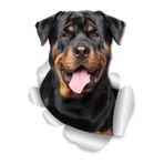 TSC Rottweiler Köpek Araba Sticker 18cm Çok Renkli, RENK27K157