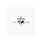 TSC Samsun 2 Gps Harita Sticker Oto Araba Yapıştırma 17cm Çok Renkli, STICKER2K106