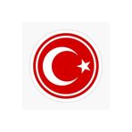 TSC Türk Bayrağı Araba Sticker 14 cm Çok Renkli, EYh1Y11