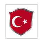 TSC Türk Bayrağı Ay Yıldız Sticker 2 Adet 13 cm