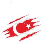 Tsc Türk Bayrağı Pençe Izi Türk Bayrağı Sticker 18 cm - Çok Renkli - 17CM