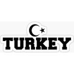 TSC Türk Bayrağı Sticker Yapıştırma 17CM Md2 - Çok Renkli