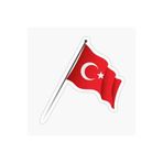TSC Türk Bayrağı Sticker Yapıştırma 17cm Renkli, EYMSS428