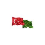 TSC Türk Dalgalı Bayrak Sticker 14 Cm Çok Renkli, EY1Y5