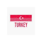 TSC Türkiye Bayrak Sticker Oto Etiket Araba Yapıştırma 17cm Çok Renkli, STICKER2K24