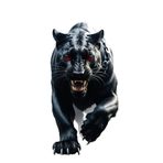 TSC Vahşi Kara Panter Sticker Araba Motorsiklet Araç Cam Etiketi 19CM Renkli, 85HOETİKET-75