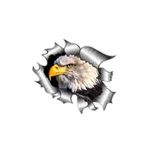 TSC Yırtık Metal Tasarım Kartal Araba Oto Sticker Çok Renkli, RENK-1A-100