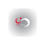 TSC Z22 Atatürk Sonsuz Ay Yıldız Silüet 30 cm X 21 Oto Sticker